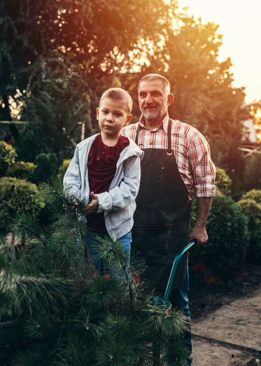 Buy Christmas Tree near Dublin Jones Garden Centre Jones Garden Centre